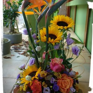 Πολύχρωμη σύνθεση με στερλίτσιες και ηλίανθους