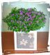 Home 4 208 exacum