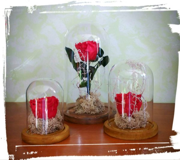 "Long life rose" σε γυάλινο θόλο 16cm (XL) - Image 2