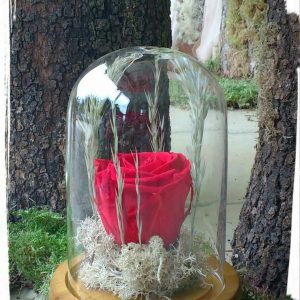 "Long life rose" σε γυάλινο θόλο 16cm (XL)