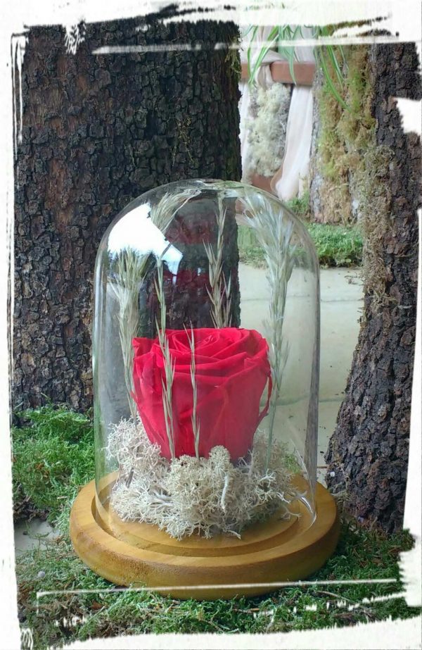 "Long life rose" σε γυάλινο θόλο 16cm (XL)