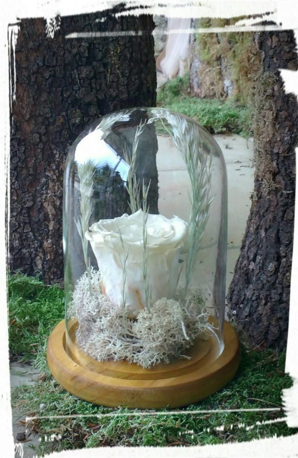 "Long life rose" σε γυάλινο θόλο 16cm (XL) - Image 5