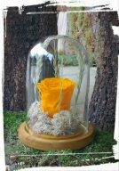 tholos orange