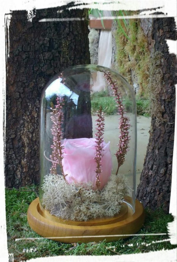 "Long life rose" σε γυάλινο θόλο 16cm (XL) - Image 8