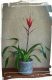 Home 3 207 vriezia
