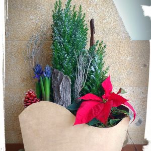 Φυτοσύνθεση "έλκηθρο μεγάλο"