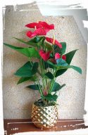 IMG_20201220_164841