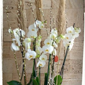 Έλκηθρο με ορχιδέες φαλαίνοψις και κλαδιά (140εκ.)
