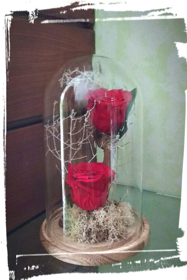 long life double red1
