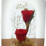 long life double red2