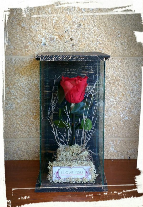 Βιτρίνα με "long life rose" Ι love you! (XL)
