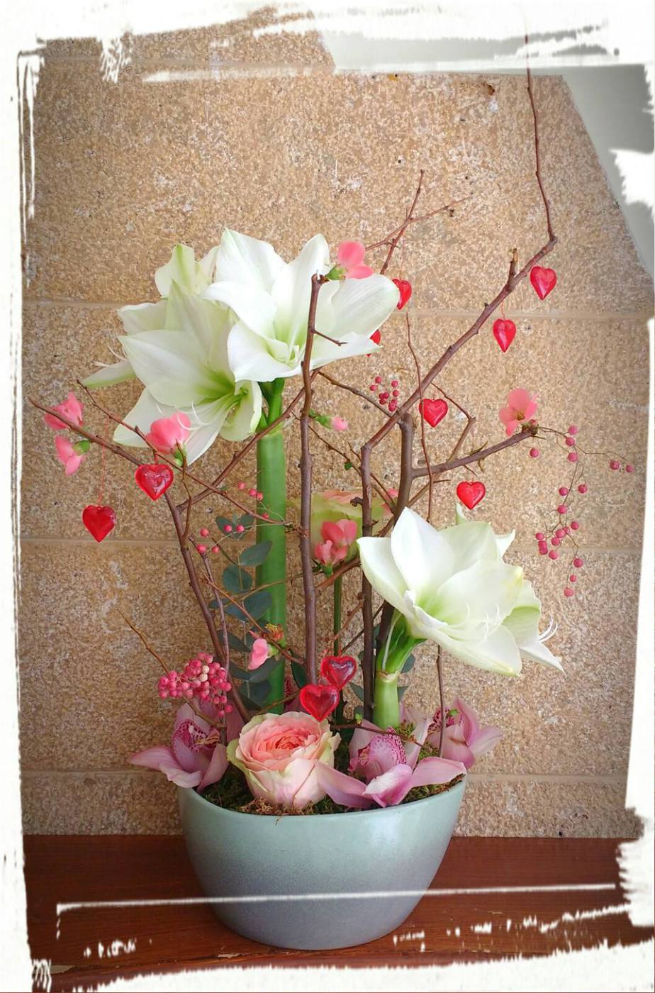 synthesi amarillis kladia