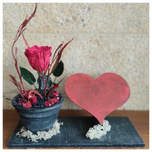 "long life rose" Red heart!