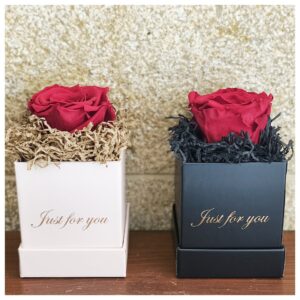 "Long life box" (XL-6,5cm)